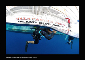 Lets go to down to watch the Thresher Sharks :) Balt is m... by Henrik Gram Rasmussen 